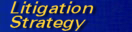 Litigation Strategy